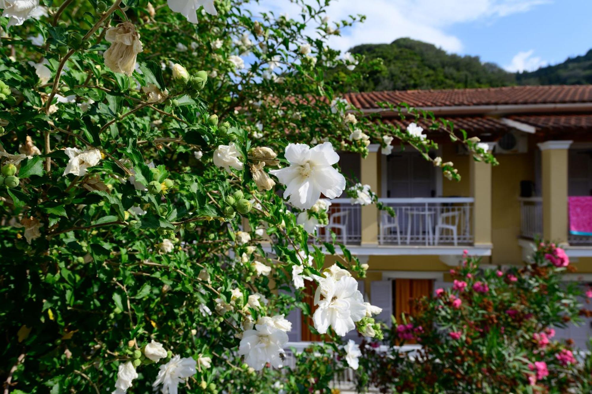 Marina Apartments, Agios Gordios  Luaran gambar